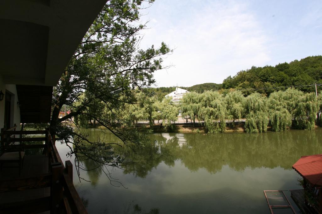 Guest House Lacul Linistit Moneasa Pokój zdjęcie