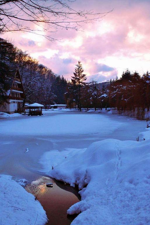 Guest House Lacul Linistit Moneasa Zewnętrze zdjęcie